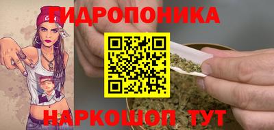а пвп мука Кингисепп