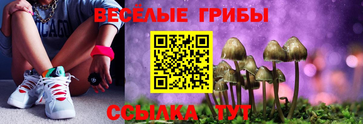 Галлюциногенные грибы мицелий  Вход с VPN  Галлюциногенные грибы прущие грибы  Сосновоборск 