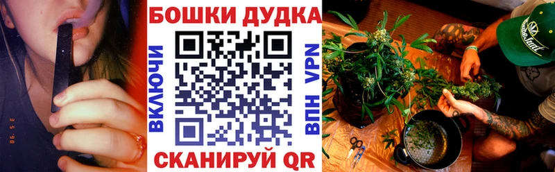 цена   маркетплейс как зайти  Бошки Шишки конопля  Сосновоборск 